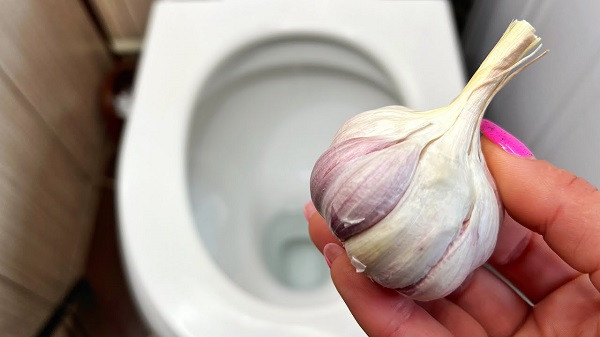 Garlic for Clean Toilet
