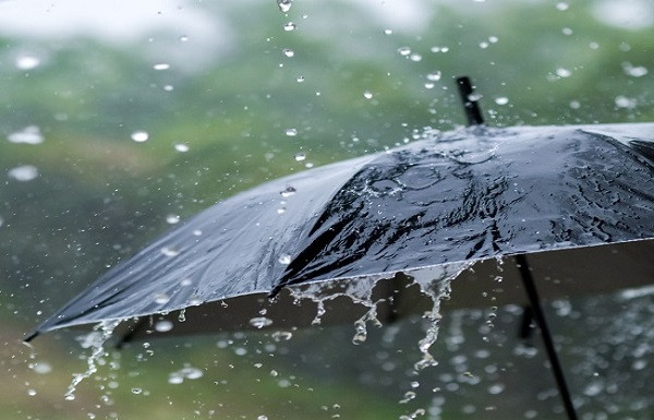 Rain likely in both Bengal