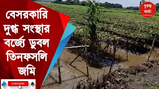 Dairy pollution issue