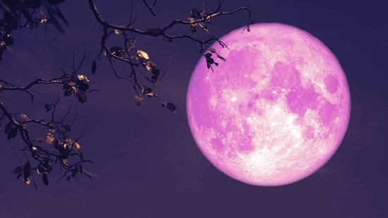Strawberry Moon 2025