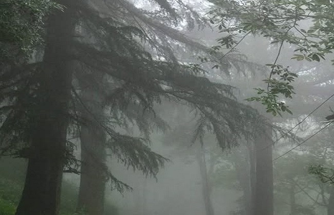 Rain Forecast in Kashmir