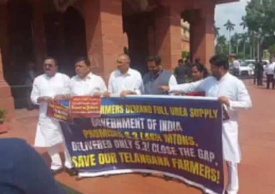 Parliament premises protest