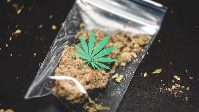 Ganja seized in Barrackpore