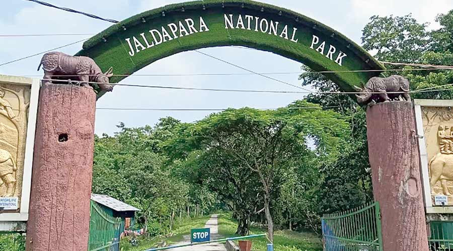 Jaldapara (symbolic picture)
