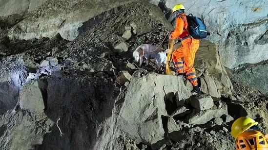 Himachal bus accident