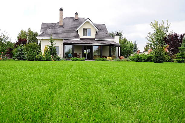 Green Grass House