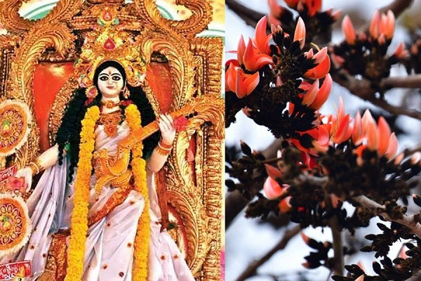 Palash flower and Saraswati Puja