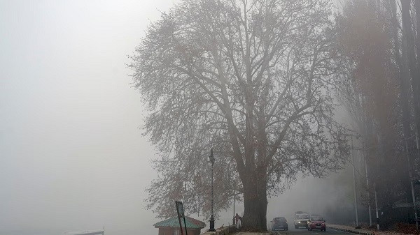 Bengal Weather Update