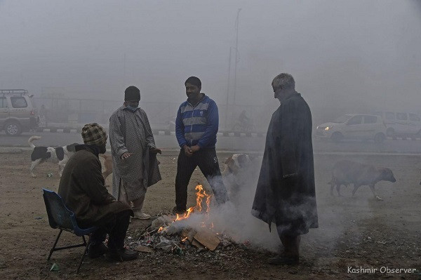 Kashmir cold wave
