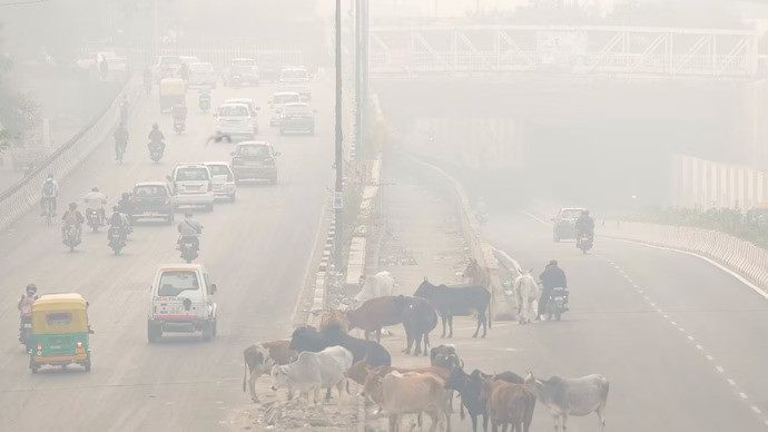 Delhi Pollution