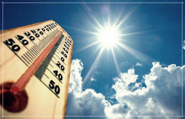 South Bengal Gripped by a Heatwave