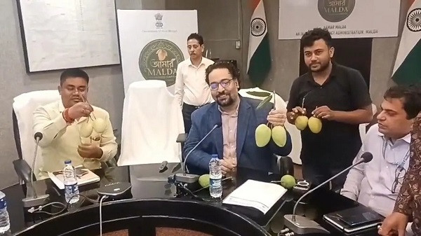 Malda's mangoes are heading to the Football World Cup in the USA!