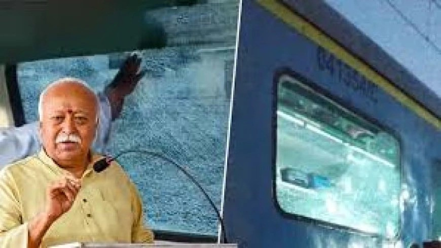 Train Stone Pelting Case