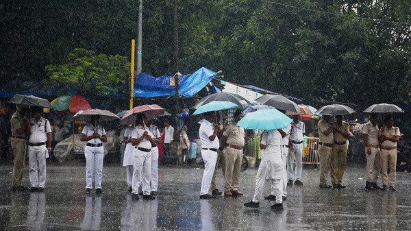 Bengal Rain